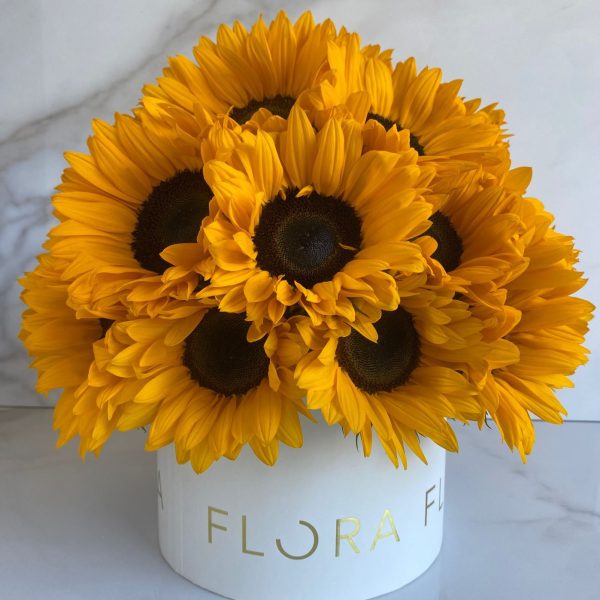Premium box de girasoles